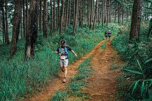 BIB: 
                            <button type="button" onclick="openModal(25705115)" class="btn btn-primary btn-sm float-right btn-popup" data-toggle="modal" data-target=".modal-high-quality">
                        <i class="fas fa-shopping-cart"></i> Add to Cart
                    </button>
                                            <button type="button" onclick="isThisMe(25705115, true)" class="btn btn-success btn-sm float-right btn-popup btn-isme hidden" data-toggle="tooltip" data-placement="bottom" title="นี่คือรูปของคุณใช่ไหม คลิกที่นี่เพื่อเอาเข้าอัลบั้ม">
                        <i class="fas fa-plus"></i> Add to album
                    </button>
                    <button type="button" onclick="isThisMe(25705115, false)" class="btn btn-warning btn-sm float-right btn-popup btn-isnotme hidden">
                        <i class="fas fa-ban"></i> Remove from album
                    </button>